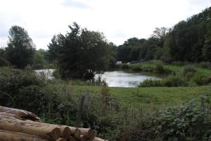 Picture of a lake in the English wooded countryside